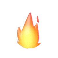 Ottapk